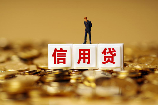 东莞企业哪里可以借私借-东莞企业个人贷款都有哪些平台-东莞企业小额贷款